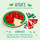 Развивающая игра «Арбуз» - фото 318002470