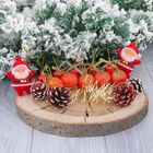 Набор украшений пластик 16 шт "Сюрприз" (4 шишки, 5 шаров, 5 колокольчиков, 2 Деда Мороза) - Фото 1