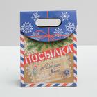 Пакет подарочный «Посылка от Деда Мороза», 12 × 16 × 6 см - Фото 3