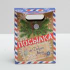 Пакет подарочный «Посылка от Деда Мороза», 12 × 16 × 6 см - Фото 4