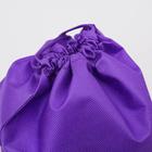 Мешок для обуви «Самая классная» (нетканый материал) 41×30 см - Фото 3