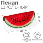 Пенал школьный, плоский, ПВХ, 9.5×20.5 см «Арбузик» - Фото 1