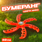 Бумеранг «Морская звезда», цвета МИКС - Фото 1