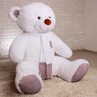 Мягкая игрушка «Медведь Тоффи», 150 см, цвет белый - фото 3804542