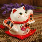 Сувенир кот копилка керамика " Манэки-нэко на подушечке" МИКС 12х16х9,5 см - Фото 3
