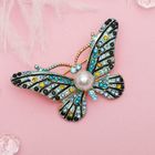 Брошь «Бабочка с жемчужинкой», цветная в золоте - Фото 1