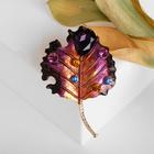 Брошь «Лист яркий», разноцветная в золоте - Фото 1