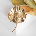 Брошь «Лист яркий», разноцветная в золоте - Фото 2