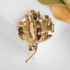 Брошь «Лист яркий», разноцветная в золоте - Фото 2