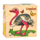 Кубики деревянные «Животные Африки», набор 4 шт. - Фото 3