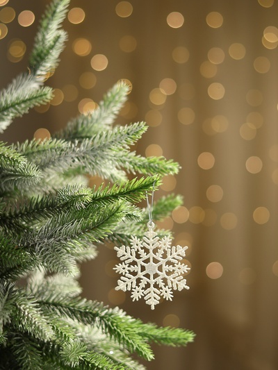 Ёлочные игрушки набор 6 шт. «Зимнее волшебство. Снежинка узорная», d=7 см, белый