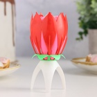 Свеча для торта музыкальная «Тюльпан», красная, 12×5 см - Фото 6