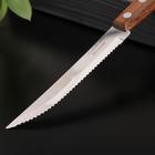 Нож кухонный с зубчиками Tramontina Tradicional для стейка, лезвие 11,5 см, сталь AISI 420 - Фото 2