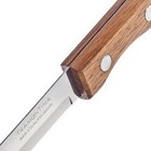 Нож 2 шт Dynamic для очистки овощей, длина лезвия 7,5 см - Фото 2