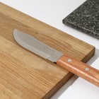 Нож кухонный для мяса Universal, лезвие 12,5 см, сталь AISI 420 - Фото 2