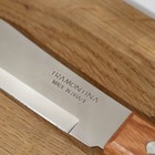 Нож кухонный для мяса Universal, лезвие 12,5 см, сталь AISI 420 - Фото 3