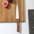 Нож кухонный поварской Universal, лезвие 12,5 см, сталь AISI 420, деревянная рукоять - Фото 1