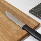 Нож кухонный TRAMONTINA Athus для мяса, лезвие 15 см, сталь AISI 420 - фото 4576949