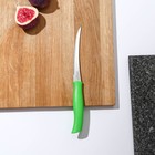 Нож кухонный для помидоров/цитрусовых Athus, лезвие 12,5 см, сталь AISI 420, цвет зелёный - Фото 1