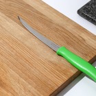 Нож кухонный для помидоров/цитрусовых Athus, лезвие 12,5 см, сталь AISI 420, цвет зелёный - фото 4576959