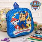 Рюкзак детский плюшевый на молнии, 24.5 см × 7 см × 24.5 см «Лучшие друзья» Щенячий патруль - Фото 1