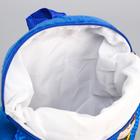 Рюкзак детский плюшевый на молнии, 24.5 см × 7 см × 24.5 см «Лучшие друзья» Щенячий патруль - Фото 5