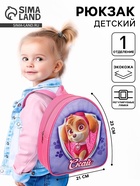 Рюкзак детский для девочки, 23×21×10 см, Щенячий патруль, Скай - Фото 1
