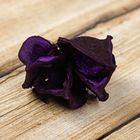 Сухие лепестки хлопка, 60 г, цвет фиолетовый - Фото 1