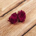 Сухие цветы розы, 15 г - Фото 1