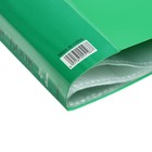 Папка с 40 вкладышами Calligrata А4, 400 мкм, МИКС - Фото 14