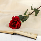 Цветок искусственный "Роза Фолли" 6*60 см, красная - Фото 1
