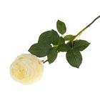 Цветок искусственный "Роза Боника" 9*7*75 см, белая - Фото 1