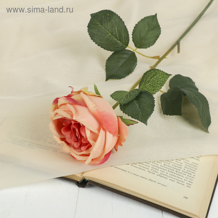 Цветок искусственный "Роза Леонардо" 9*8*55 см, нежно-розовая - Фото 1