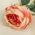 Цветок искусственный "Роза Леонардо" 9*8*55 см, нежно-розовая - Фото 2