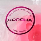 Молд Доляна «Мишка», силикон, 8×6,5 см, цвет розовый - фото 4577037