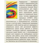 Карандаши художественные акварельные «Сонет», 12 цветов - Фото 2