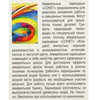 Карандаши художественные акварельные «Сонет», 24 цвета - Фото 2