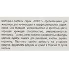 Пастель масляная, «Сонет», 24 цвета, 9/59 мм, круглая - Фото 3