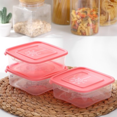 Набор контейнеров для замораживания продуктов «Морозко», 3 шт, 700 мл, прозрачные, крышки микс