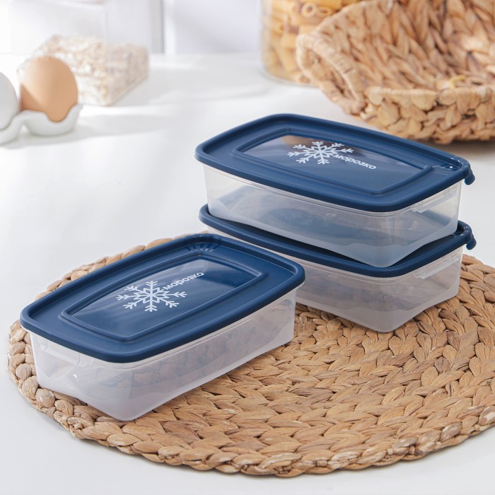 Набор контейнеров для замораживания продуктов «Морозко», 3 шт, 700 мл, цвет МИКС - Фото 1