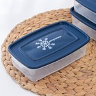 Набор контейнеров для замораживания продуктов «Морозко», 3 шт, 700 мл, цвет МИКС - Фото 2