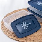 Набор контейнеров для замораживания продуктов «Морозко», 3 шт, 700 мл, цвет МИКС - Фото 3