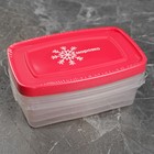 Набор контейнеров для замораживания продуктов «Морозко», 3 шт, 700 мл, цвет МИКС - Фото 6