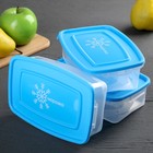 Набор контейнеров для замораживания продуктов «Морозко», 3 шт, 700 мл, цвет МИКС - Фото 7