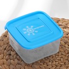 Набор квадратных контейнеров для замораживания продуктов «Морозко», 1 л, цвет МИКС - фото 8339248