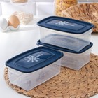Набор прямоугольных контейнеров для замораживания продуктов «Морозко», 1 л , 3 шт, цвет МИКС - фото 3688536