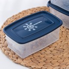 Набор прямоугольных контейнеров для замораживания продуктов «Морозко», 1 л , 3 шт, цвет МИКС - Фото 2