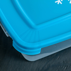 Контейнер для замораживания продуктов 0,7 л "Морозко", прямоугольный, цвет МИКС - Фото 4