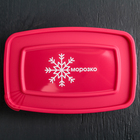 Контейнер для замораживания продуктов 0,7 л "Морозко", прямоугольный, цвет МИКС - Фото 5