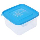 Контейнер для замораживания продуктов 1 л "Морозко" , квадратный, цвет МИКС - Фото 4